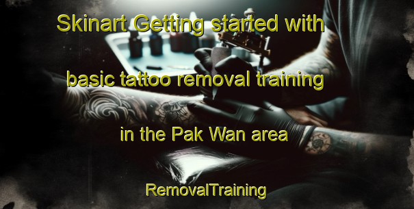 Skinart Getting started with basic tattoo removal training in the Pak Wan area | RemovalTraining | RemovalClasses | SkinartTraining-Hong Kong