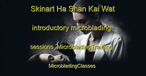 Skinart Ha Shan Kai Wat introductory microblading sessions | MicrobladingTraining | MicrobladingClasses | SkinartTraining-Hong Kong