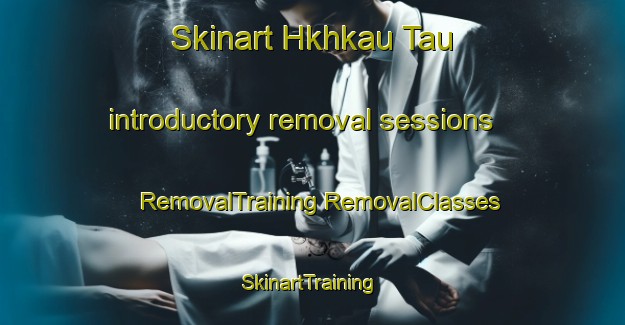 Skinart Hkhkau Tau introductory removal sessions | #RemovalTraining #RemovalClasses #SkinartTraining-Hong Kong