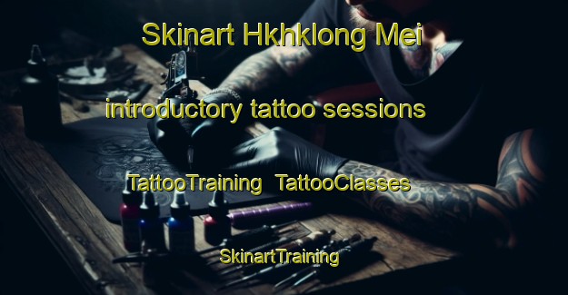 Skinart Hkhklong Mei introductory tattoo sessions | TattooTraining | TattooClasses | SkinartTraining-Hong Kong