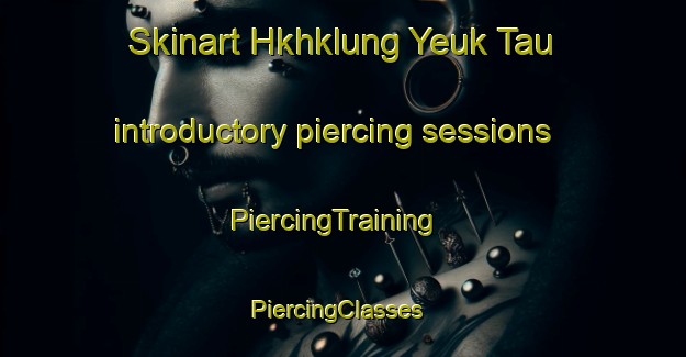 Skinart Hkhklung Yeuk Tau introductory piercing sessions | PiercingTraining | PiercingClasses | SkinartTraining-Hong Kong