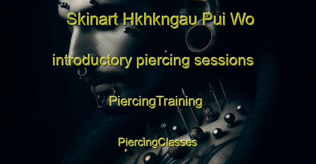 Skinart Hkhkngau Pui Wo introductory piercing sessions | #PiercingTraining #PiercingClasses #SkinartTraining-Hong Kong