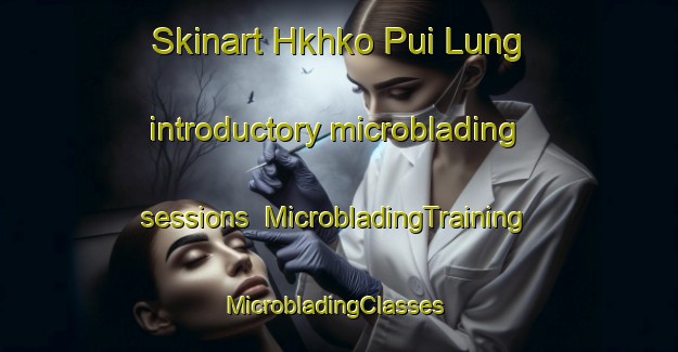 Skinart Hkhko Pui Lung introductory microblading sessions | MicrobladingTraining | MicrobladingClasses | SkinartTraining-Hong Kong