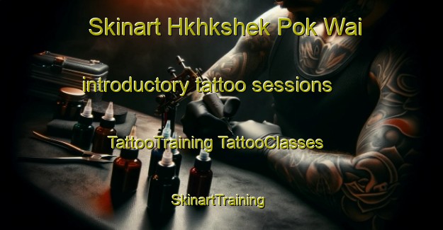 Skinart Hkhkshek Pok Wai introductory tattoo sessions | #TattooTraining #TattooClasses #SkinartTraining-Hong Kong