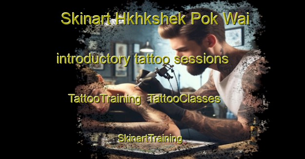 Skinart Hkhkshek Pok Wai introductory tattoo sessions | TattooTraining | TattooClasses | SkinartTraining-Hong Kong