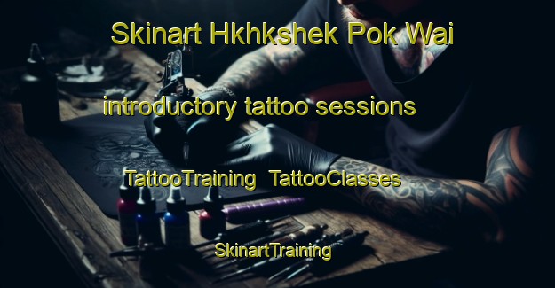 Skinart Hkhkshek Pok Wai introductory tattoo sessions | TattooTraining | TattooClasses | SkinartTraining-Hong Kong