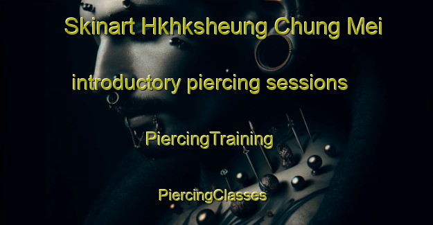 Skinart Hkhksheung Chung Mei introductory piercing sessions | PiercingTraining | PiercingClasses | SkinartTraining-Hong Kong