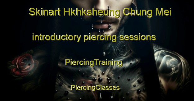 Skinart Hkhksheung Chung Mei introductory piercing sessions | PiercingTraining | PiercingClasses | SkinartTraining-Hong Kong