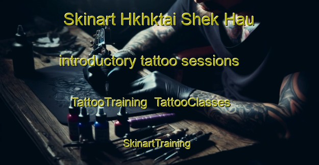 Skinart Hkhktai Shek Hau introductory tattoo sessions | TattooTraining | TattooClasses | SkinartTraining-Hong Kong