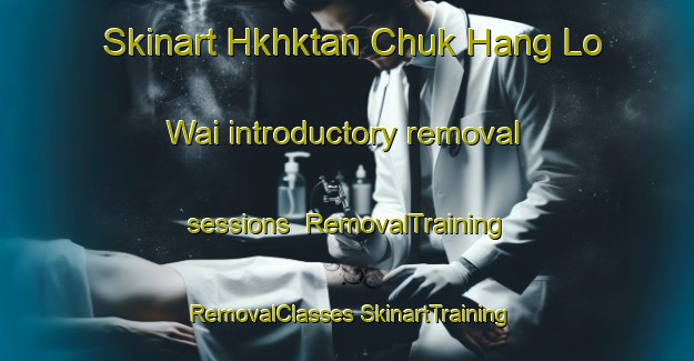 Skinart Hkhktan Chuk Hang Lo Wai introductory removal sessions | #RemovalTraining #RemovalClasses #SkinartTraining-Hong Kong