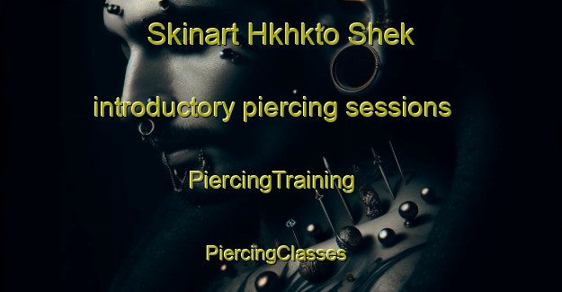 Skinart Hkhkto Shek introductory piercing sessions | PiercingTraining | PiercingClasses | SkinartTraining-Hong Kong