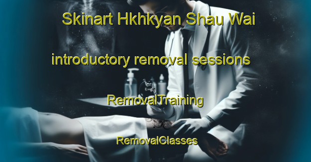 Skinart Hkhkyan Shau Wai introductory removal sessions | RemovalTraining | RemovalClasses | SkinartTraining-Hong Kong