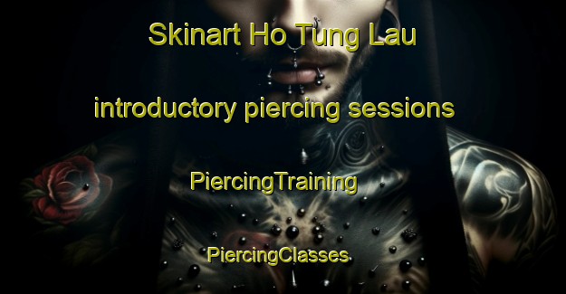 Skinart Ho Tung Lau introductory piercing sessions | PiercingTraining | PiercingClasses | SkinartTraining-Hong Kong