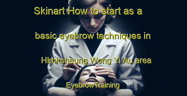 Skinart How to start as a basic eyebrow techniques in Hkhksheung Wong Yi Au area | EyebrowTraining | EyebrowClasses | SkinartTraining-Hong Kong