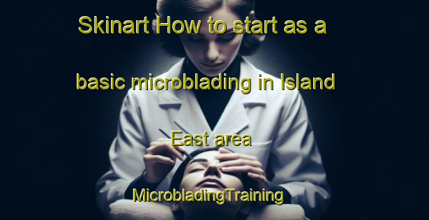 Skinart How to start as a basic microblading in Island East area | MicrobladingTraining | MicrobladingClasses | SkinartTraining-Hong Kong