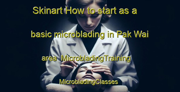 Skinart How to start as a basic microblading in Pak Wai area | MicrobladingTraining | MicrobladingClasses | SkinartTraining-Hong Kong