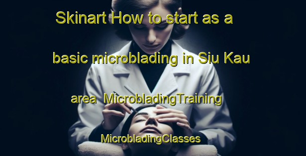 Skinart How to start as a basic microblading in Siu Kau area | MicrobladingTraining | MicrobladingClasses | SkinartTraining-Hong Kong