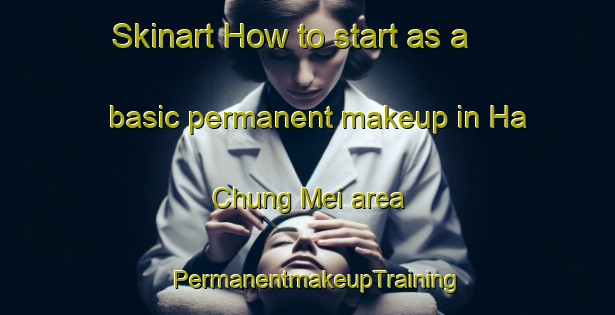 Skinart How to start as a basic permanent makeup in Ha Chung Mei area | PermanentmakeupTraining | PermanentmakeupClasses | SkinartTraining-Hong Kong
