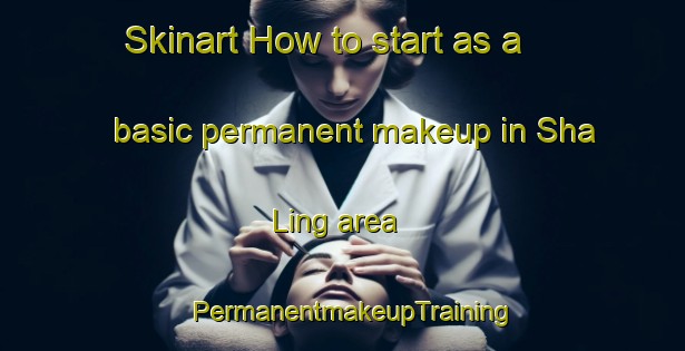 Skinart How to start as a basic permanent makeup in Sha Ling area | PermanentmakeupTraining | PermanentmakeupClasses | SkinartTraining-Hong Kong