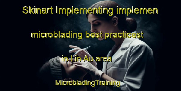 Skinart Implementing implemen microblading best practicest in Lin Au area | MicrobladingTraining | MicrobladingClasses | SkinartTraining-Hong Kong