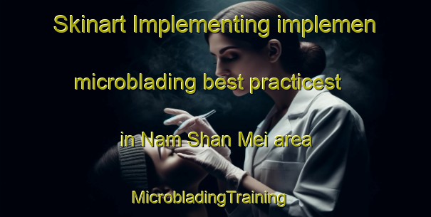 Skinart Implementing implemen microblading best practicest in Nam Shan Mei area | MicrobladingTraining | MicrobladingClasses | SkinartTraining-Hong Kong
