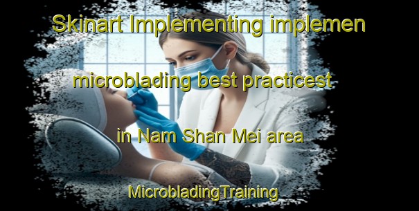 Skinart Implementing implemen microblading best practicest in Nam Shan Mei area | MicrobladingTraining | MicrobladingClasses | SkinartTraining-Hong Kong