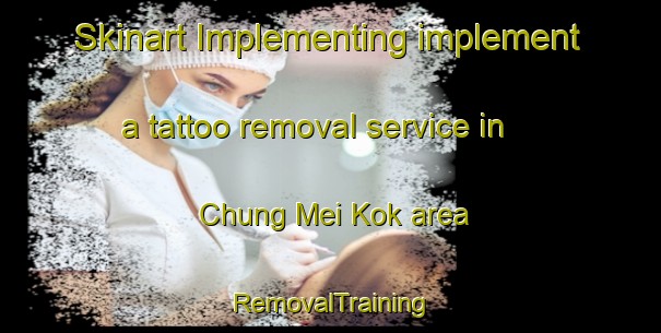 Skinart Implementing implement a tattoo removal service in Chung Mei Kok area | RemovalTraining | RemovalClasses | SkinartTraining-Hong Kong