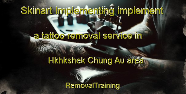 Skinart Implementing implement a tattoo removal service in Hkhkshek Chung Au area | RemovalTraining | RemovalClasses | SkinartTraining-Hong Kong