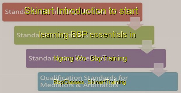 Skinart Introduction to start learning BBP essentials in Ngong Wo | BbpTraining | BbpClasses | SkinartTraining-Hong Kong
