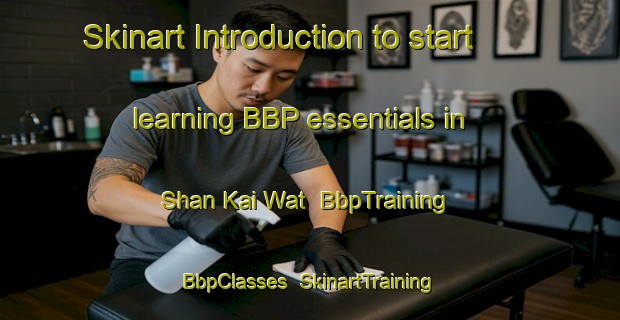 Skinart Introduction to start learning BBP essentials in Shan Kai Wat | BbpTraining | BbpClasses | SkinartTraining-Hong Kong