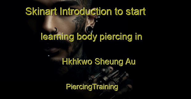 Skinart Introduction to start learning body piercing in Hkhkwo Sheung Au | PiercingTraining | PiercingClasses | SkinartTraining-Hong Kong