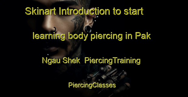 Skinart Introduction to start learning body piercing in Pak Ngau Shek | PiercingTraining | PiercingClasses | SkinartTraining-Hong Kong