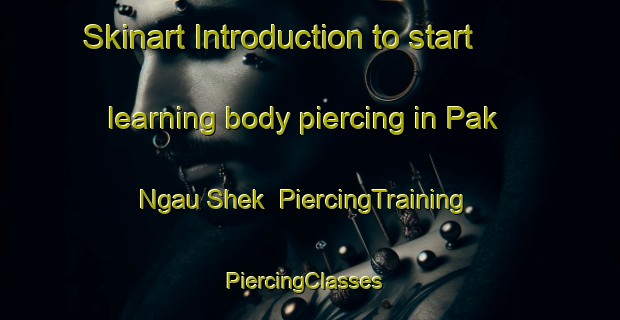 Skinart Introduction to start learning body piercing in Pak Ngau Shek | PiercingTraining | PiercingClasses | SkinartTraining-Hong Kong