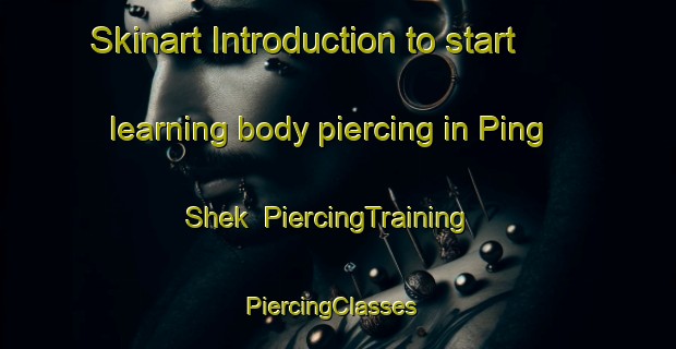 Skinart Introduction to start learning body piercing in Ping Shek | PiercingTraining | PiercingClasses | SkinartTraining-Hong Kong