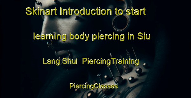 Skinart Introduction to start learning body piercing in Siu Lang Shui | PiercingTraining | PiercingClasses | SkinartTraining-Hong Kong