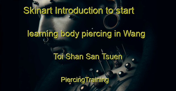 Skinart Introduction to start learning body piercing in Wang Toi Shan San Tsuen | PiercingTraining | PiercingClasses | SkinartTraining-Hong Kong