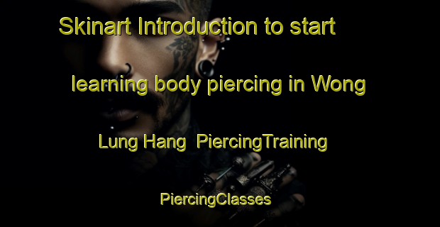 Skinart Introduction to start learning body piercing in Wong Lung Hang | PiercingTraining | PiercingClasses | SkinartTraining-Hong Kong