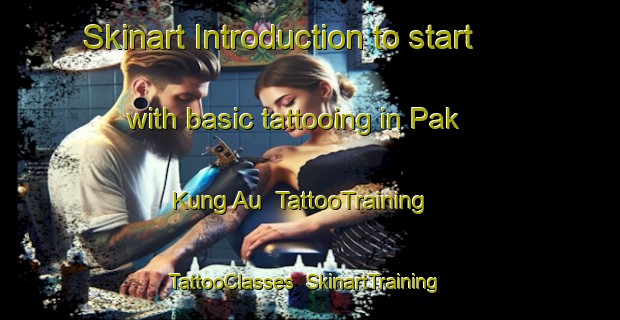 Skinart Introduction to start with basic tattooing in Pak Kung Au | TattooTraining | TattooClasses | SkinartTraining-Hong Kong