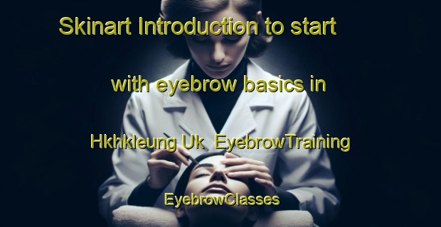 Skinart Introduction to start with eyebrow basics in Hkhkleung Uk | EyebrowTraining | EyebrowClasses | SkinartTraining-Hong Kong