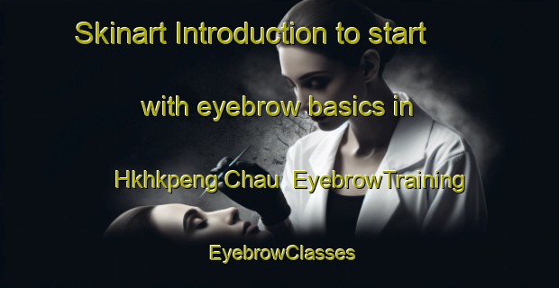 Skinart Introduction to start with eyebrow basics in Hkhkpeng Chau | EyebrowTraining | EyebrowClasses | SkinartTraining-Hong Kong