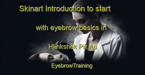 Skinart Introduction to start with eyebrow basics in Hkhkshek Pik Au | EyebrowTraining | EyebrowClasses | SkinartTraining-Hong Kong