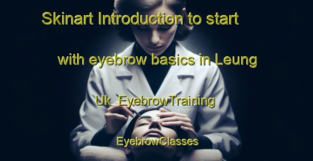 Skinart Introduction to start with eyebrow basics in Leung Uk | EyebrowTraining | EyebrowClasses | SkinartTraining-Hong Kong