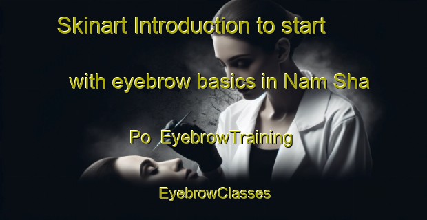 Skinart Introduction to start with eyebrow basics in Nam Sha Po | EyebrowTraining | EyebrowClasses | SkinartTraining-Hong Kong