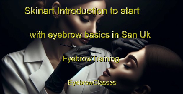 Skinart Introduction to start with eyebrow basics in San Uk | EyebrowTraining | EyebrowClasses | SkinartTraining-Hong Kong