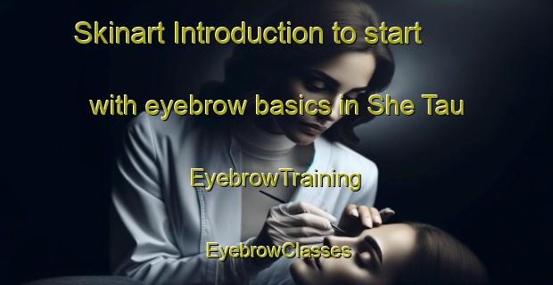 Skinart Introduction to start with eyebrow basics in She Tau | EyebrowTraining | EyebrowClasses | SkinartTraining-Hong Kong