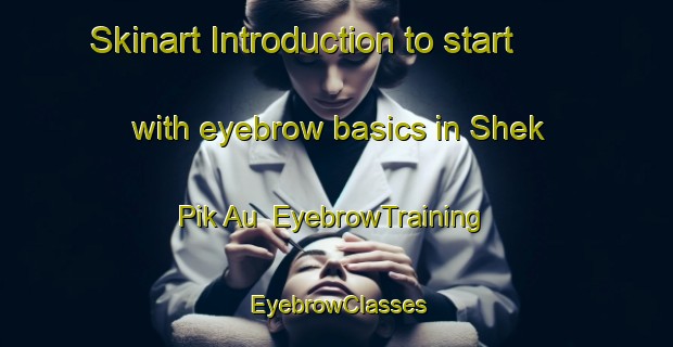 Skinart Introduction to start with eyebrow basics in Shek Pik Au | EyebrowTraining | EyebrowClasses | SkinartTraining-Hong Kong