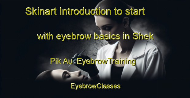 Skinart Introduction to start with eyebrow basics in Shek Pik Au | EyebrowTraining | EyebrowClasses | SkinartTraining-Hong Kong