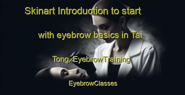 Skinart Introduction to start with eyebrow basics in Tai Tong | EyebrowTraining | EyebrowClasses | SkinartTraining-Hong Kong