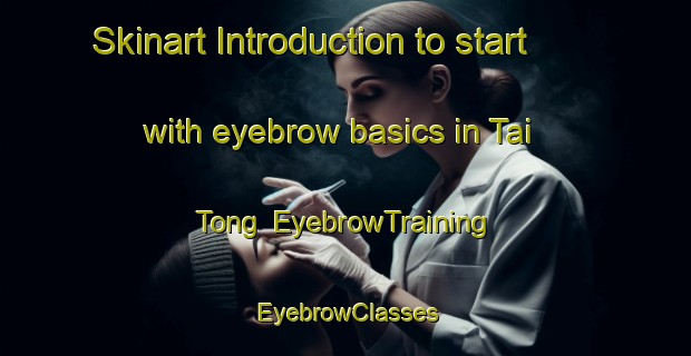 Skinart Introduction to start with eyebrow basics in Tai Tong | EyebrowTraining | EyebrowClasses | SkinartTraining-Hong Kong