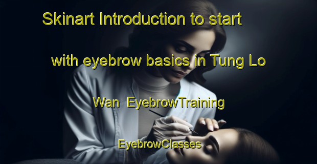 Skinart Introduction to start with eyebrow basics in Tung Lo Wan | EyebrowTraining | EyebrowClasses | SkinartTraining-Hong Kong